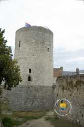 Fosse Donjon Chateau Fosse Donjon Chateau