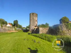 Canard De Marcoussis Canard De Marcoussis