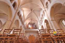 Nef Eglise Champigny