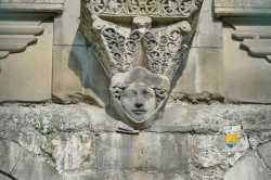Tete Visage