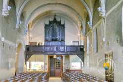 Nef Orgue