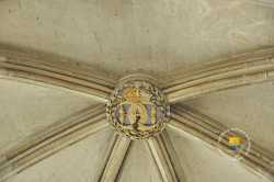 Embleme Henri II Croissant De Lune