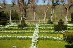 Jardin Fleuri Ambleville