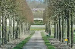 Allee Jardins Allee Jardins