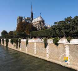 Seine E Notre Dame De Paris