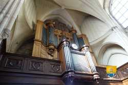 Orgue