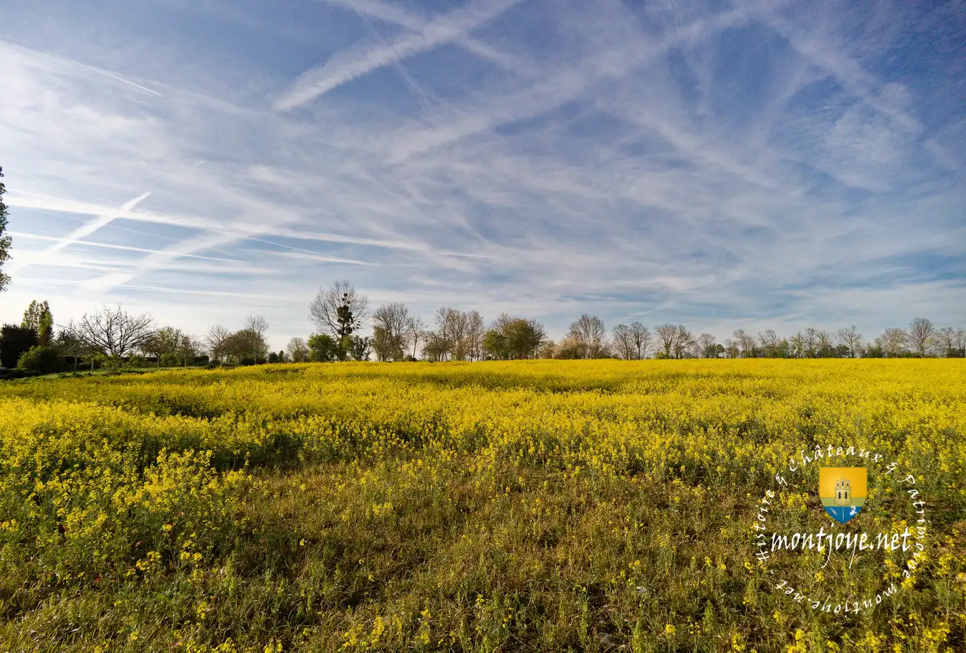 Bataille de Formigny Tombeau des Anglais