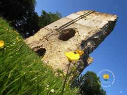 Donjon De Brionne