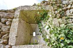 Arquebusiere