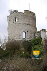 Detail Donjon