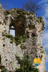 Escalier Colimacon Ruine