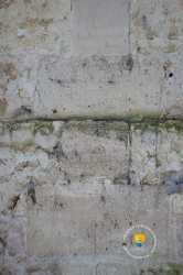 Graffiti