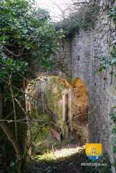 Porte