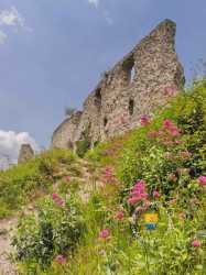 Chapelle Chateau Gaillard Fleurs