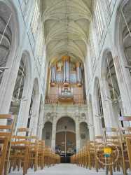 Orgue Nef Orgue Nef