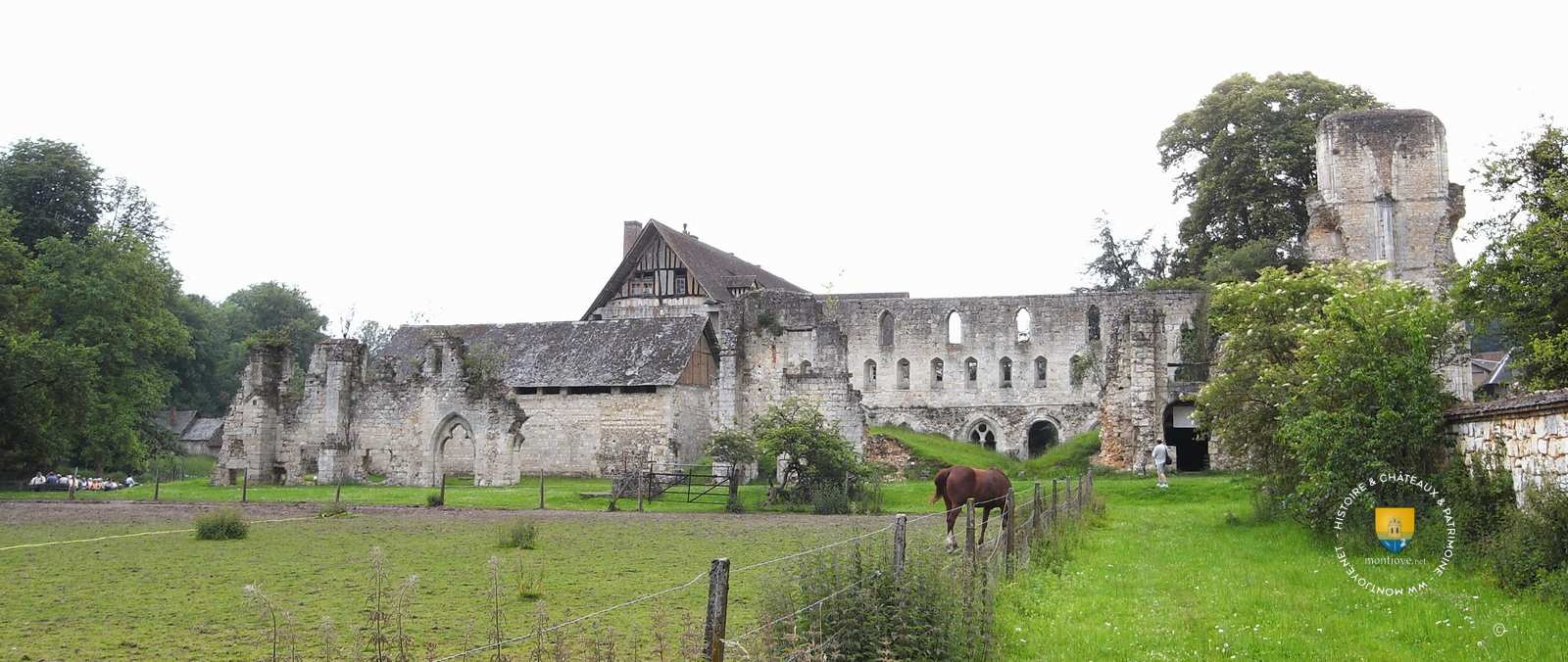 Ruine de l'Abbaye de Mortemer à Lyons la Forêt