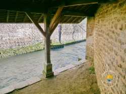 Ancien lavoir de la Briante, au fond les soubassements de l'ence Briante Lavoir