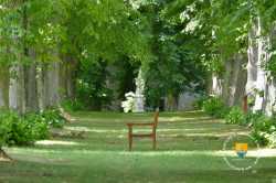 Allee Peupliers Chateau XVIIe XVIIIe