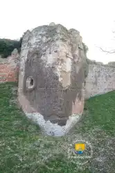 Tour En Amande Defense