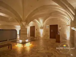 Voute Archiepiscopal