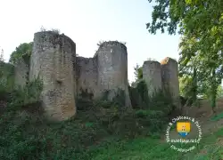 Tours Chateau De Bressuire Enceinte Medievale Tours Chateau De Bressuire Enceinte Medievale
