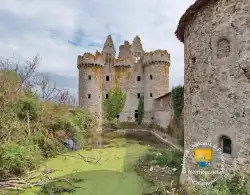 Castle Medieval Castle Medieval