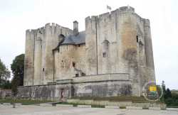Donjon Ville De Niort Donjon Ville De Niort