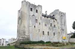 Niort Donjon