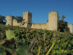 Castle Castle