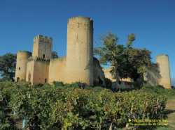 Chateau De Budos Vigne Chateau De Budos Vigne