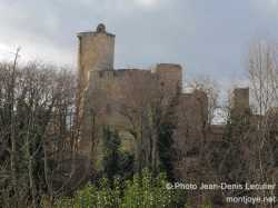 ChateaudeRauzanenGironde ChateaudeRauzanenGironde
