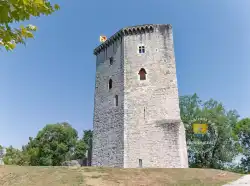 Chateau Moncade Orthez Chateau Moncade Orthez
