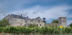 Chateau De Berrye Village Berrie