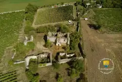 Domaine De Montfaucon