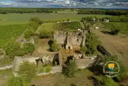 Vue Aerienne Montfaucon Vienne