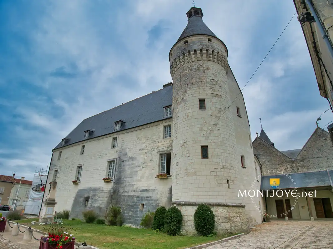 chateau de Monts sur Guesnes Visite