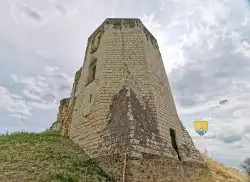 Tour Octogonale XVe Tour Octogonale XVe