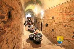 Shop Loire Wines Vins
