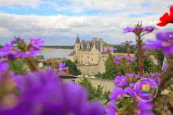 Chateau De Montsoreau Village Fleuris