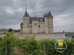 Vin Vignes Saumur