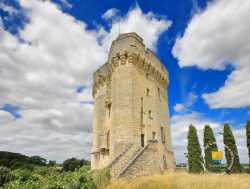 Château et Donjon de Trèves Chateau Donjon Treves