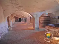 Cave A Vin