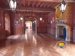 Salle Des Dames Chateau Courtanvaux Blason