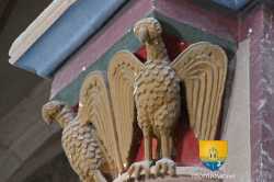 Aigle Roman
