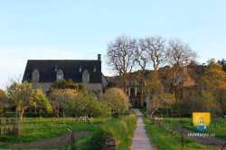 Abbaye Beauport Vergers