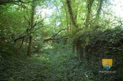  Collegiale De Poissy  Chemin De La Coudraie Ancien Chemin Medieval  63