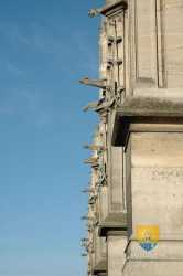  Collegiale De Poissy  Gargouille  48