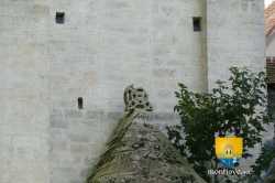 Toit Pierre Eglise Croix Pattee