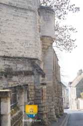 DSC01446