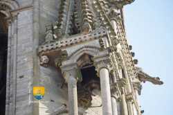 Cathedrale Senslis Detail